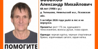 Изображение: группа поискового отряда «ЛизаАлерт» в соцсети «ВКонтакте» - InformPskov.Ru
