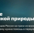 Голосуйте за краснокнижных животных Магаданской области - СВГУ