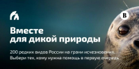 Голосуйте за краснокнижных животных Магаданской области - СВГУ