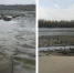 Мусор на городском пляже и уборка / Фото: Народный фронт. Алтайский край, МЦУ города Барнаула - ИА Амител