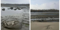 Мусор на городском пляже и уборка / Фото: Народный фронт. Алтайский край, МЦУ города Барнаула - ИА Амител
