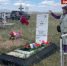 Табуны ходят по кладбищу в Хакасии: огородить погост в Усть-Абаканском районе местные власти обязал суд - Абакан 24