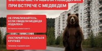 ❗️ Ситуация с медведями в Шушенском округе за 6 октября. - Шушенский район