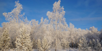 Зима в Красноярском крае - ДЕЛА.ru