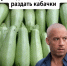 Что еще можно сделать из кабачков: салат по-восточному за 5 минут - News.Astv.Ru