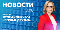 Новости Петербурга к 8:00 - tvspb.ru - ТК Санкт-Петербург