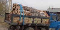 В Бурятии медведей обвинили в росте цен на дрова - Газета Номер один