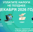 срок уплаты налогов — 1 декабря 2026 года. - МО Кирово-Чепецк