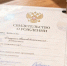 Опечатка в документе вынудила мать участника СВО подтверждать родство через суд - ИА Хабаровский край сегодня