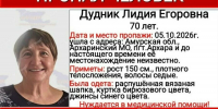 На поиски пожилой амурчанки отправились в Архаринский округ специалисты МЧС России (видео) - Amur.Life