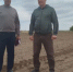 В Пролетарском районе продолжается сев озимых культур - Пролетарский район