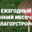 Осенний месячник по благоустройству: Великие Луки готовятся к зиме - Газета Великолукская правда