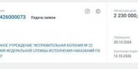 Фото: скриншот | Приморский мем: исправительная колония закупает гильотину - PrimPress.Ru