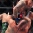 Глава UFC Дана Уайт оценил стоимость промоушена - MosRegToday.Ru