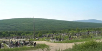 Природоохранной прокуратурой организованы надзорные мероприятия по вопросу регулирования численности медведей - Kolyma.Ru