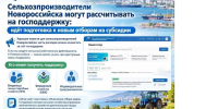Новороссийские аграрии смогут получить субсидии на развитие хозяйств - Сетевое издание Официальный Новороссийск