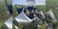 Водитель Lada Granta погиб в ДТП с грузовиком на трассе «Воронеж – Тамбов» - Обозреватель.Врн