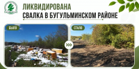 Свалку площадью 1500 кв. м ликвидировали в Бугульминском районе - Бугульминская газета