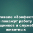 В Казани состоится инклюзивный фестиваль о собаках-героях и ответственном отношении к питомцам - Камская новь