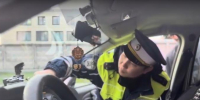 Правоохранители проверили более 200 автомобилей во время рейда в Петербурге - Spbdnevnik.ru