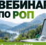 Росприроднадзор проведет вебинар для производителей упаковки - Департамент природных ресурсов и охраны окружающей среды