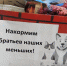 Добрые дела учеников: итоги эко-акций в Волховской школе № 7 - SyasNews.Ru