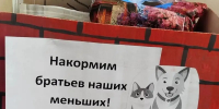 Добрые дела учеников: итоги эко-акций в Волховской школе № 7 - SyasNews.Ru