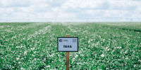 Агрофирма «Слава картофелю» вошла в перечень ответственных субъектов предпринимательской деятельности в Чувашии - Минсельхоз Чувашии