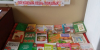 Информационная полка «Прекрасна осень пожилых» - Районная библиотека
