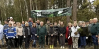 Волонтёры высадили 6000 сеянцев сосны в рамках акции «Сохраним лес» - Калужский перекрёсток