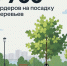В Петербурге продолжается осенняя посадка деревьев - Административно-техническая инспекция