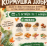 В Нижневартовске проходит акция «Кормушка добра» - Местное время