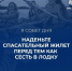 Перед выходом на воду не забывайте о самом главном — безопасности - МЧС России