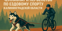 47116_o - Светловский городской округ