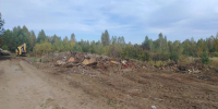 В Сосновоборском районе ликвидирована свалка - Минлесхоз Пензенской области
