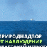 Загрязнения в Черном море после атаки безэкипажных катеров на танкер в Сочи нет - Новая Газета Кубани