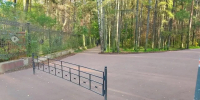 В парке «Сосновка» отреставрировали более 4000 квадратных метров покрытий набивных дорожек - Петербургский дневник