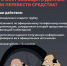 Памятка: как не стать жертвой мошенников? - Администрация ЗАТО Северск
