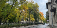 Петербуржцам стоит ждать дождя к пятнице - Санкт-Петербург.ру