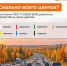 Что обозначают цвета разметки на дорогах? - Аургазинский вестник