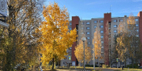 Ждём первый снег - 64 параллель онлайн