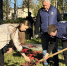"Семейных деревьев" в Великом Новгороде стало больше - Единая Россия