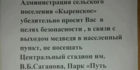 Ограничить выход из дома: Медведь навёл шороху в селе Бурятии - ИА Байкал-Daily