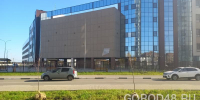 В Липецке сажают липы - Gorod48.ru