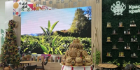 Фото: пресс-служба администрации Краснодарского края - ТК Краснодар