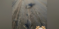 Пьяный водитель без прав сбил пенсионера и скрылся в Башкирии - Комсомольская правда