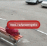 В Энгельсе новорожденных котят выкинули с 8-го этажа. Полиция начала проверку - Четвертая Власть