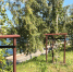 background - Kaluga-Poisk.Ru