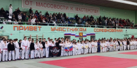 Команда Владимирской области собрала 37 золотых медалей на фестивале единоборств - Progorod33.Ru