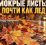 Мокрые листья – почти как лёд - Городское поселение Октябрьское